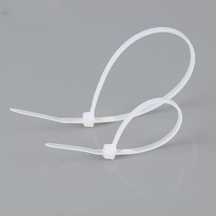 100pcs केबल संबंध पुन: प्रयोज्य बन्धन तार Organizer.jpg